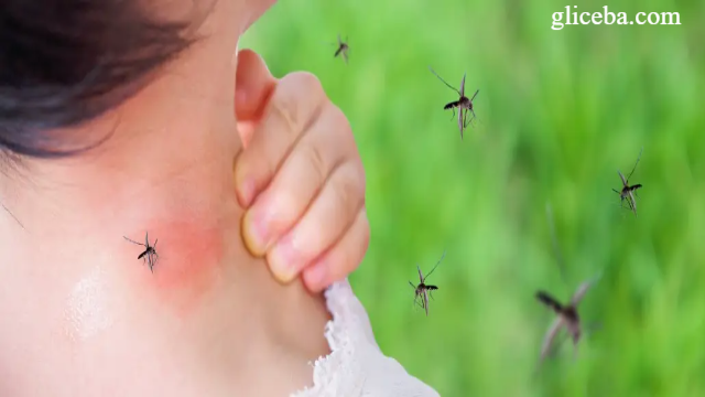 5 Cara Agar Tidak di Gigit Nyamuk